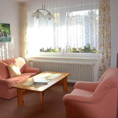 Apartment Todtmoos 1 *